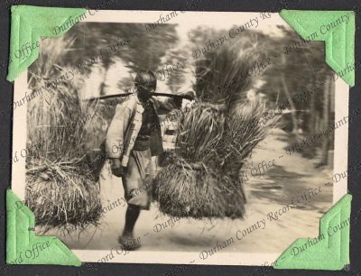 ref: D/DLI 7/333/18(91)