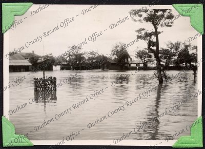 ref: D/DLI 7/333/18(94)