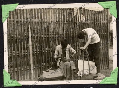 ref: D/DLI 7/333/18(144)