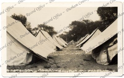 ref: D/DLI 7/333/100