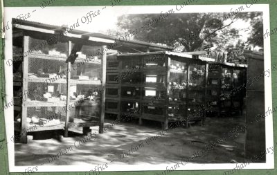 ref: D/DLI 7/399/1(3)