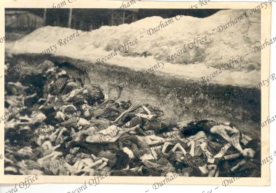Photograph of a view of the bodies of i...
