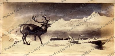 ref: D/DLI 7/409/9(36)