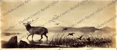 ref: D/DLI 7/409/9(37)