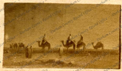 ref: D/DLI 7/409/9(72)