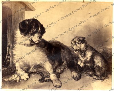 ref: D/DLI 7/409/9(104)