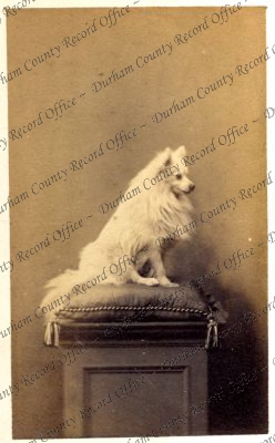 ref: D/DLI 7/409/10(170)