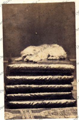 ref: D/DLI 7/409/10(171)