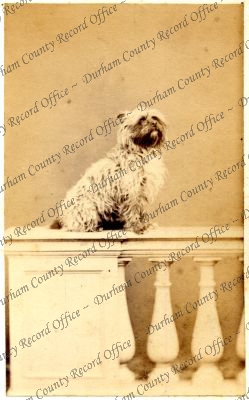 ref: D/DLI 7/409/10(172)