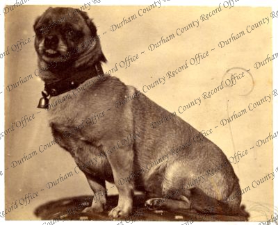 ref: D/DLI 7/409/10(174)