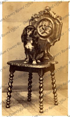 ref: D/DLI 7/409/10(175)