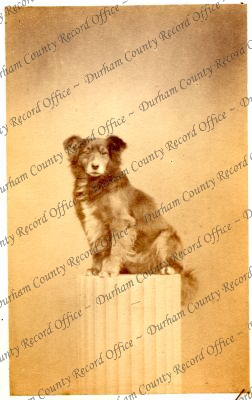 ref: D/DLI 7/409/10(176)