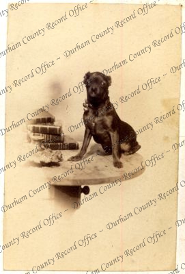 ref: D/DLI 7/409/10(177)