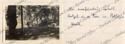 ref: D/DLI 7/424/2(82)