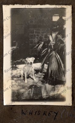 ref: D/DLI 7/426/152(114)