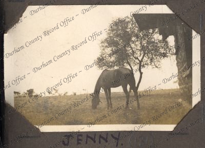 ref: D/DLI 7/426/152(131)