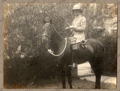 ref: D/DLI 7/426/153(50)