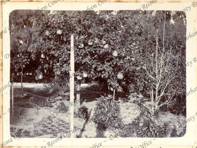 ref: D/DLI 7/427/2(102)