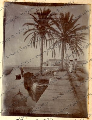 ref: D/DLI 7/427/2(109)