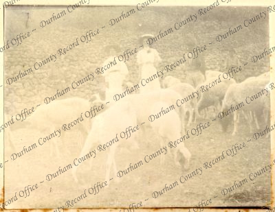 ref: D/DLI 7/427/2(162)