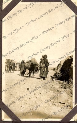 ref: D/DLI 7/449/1(51)