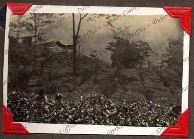 ref: D/DLI 7/449/2(82)