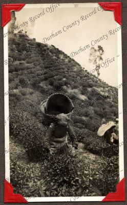 ref: D/DLI 7/449/2(88)