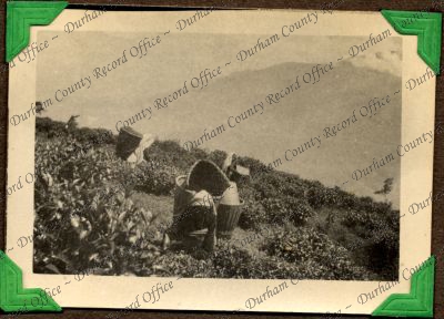 ref: D/DLI 7/449/2(100)