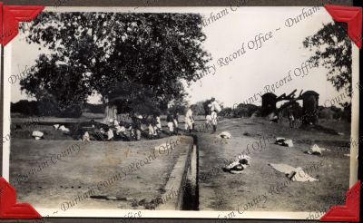 ref: D/DLI 7/449/2(134)