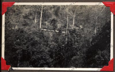 ref: D/DLI 7/449/2(135)