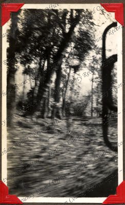 ref: D/DLI 7/449/2(139)