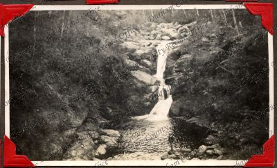 ref: D/DLI 7/449/2(142)