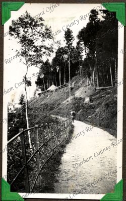 ref: D/DLI 7/449/2(149)