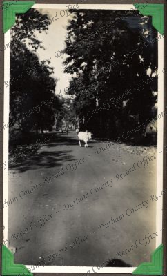 ref: D/DLI 7/449/2(150)