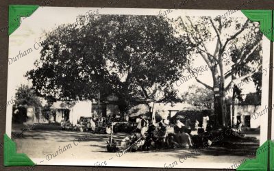 ref: D/DLI 7/449/2(164)