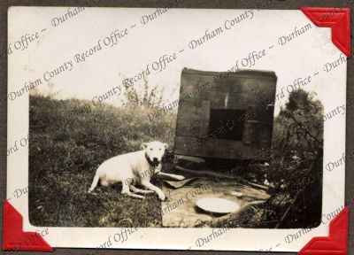 ref: D/DLI 7/449/2(202)