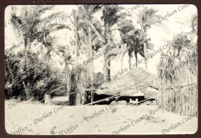 ref: D/DLI 7/460/3(2)