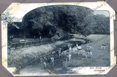 ref: D/DLI 7/480/5(32)