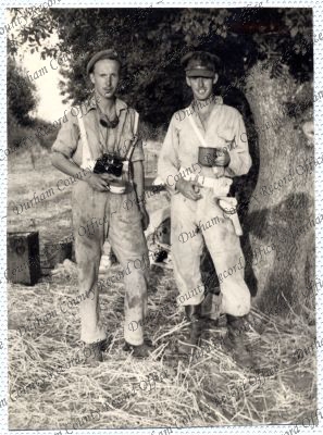 ref: D/DLI 7/534/2(15)