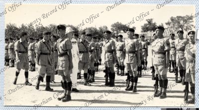 ref: D/DLI 7/534/2(55)