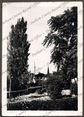 ref: D/DLI 7/534/3(19)