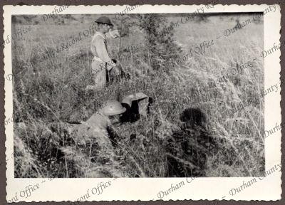 ref: D/DLI 7/534/3(33)