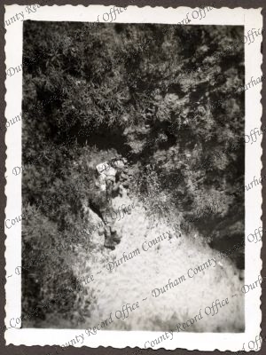 ref: D/DLI 7/534/3(39)