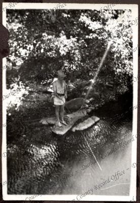 ref: D/DLI 7/534/3(52)