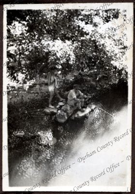 ref: D/DLI 7/534/3(53)