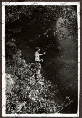 ref: D/DLI 7/534/3(54)