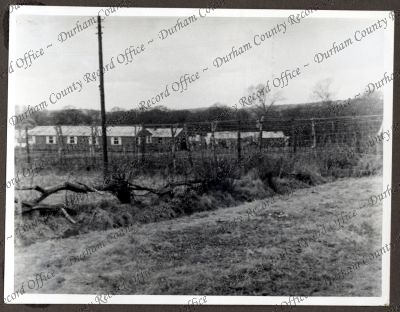 ref: D/DLI 7/534/3(96)