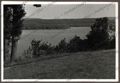 ref: D/DLI 7/534/3(116)