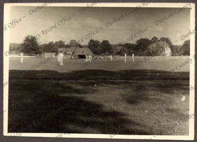 ref: D/DLI 7/534/3(117)