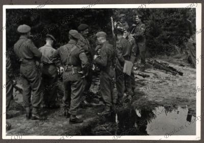 ref: D/DLI 7/534/3(126)